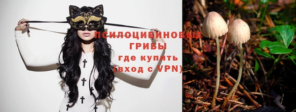 круглые Арсеньев