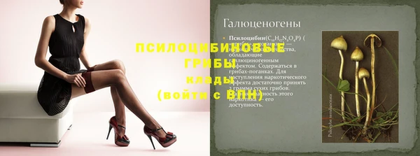 круглые Арсеньев
